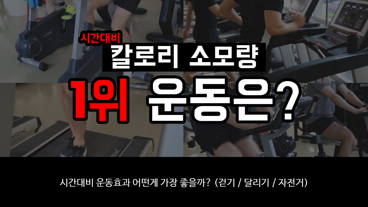 걷기/달리기/자전거 중 칼로리 소모량 1위 운동은? 직접 비교해봤습니다!