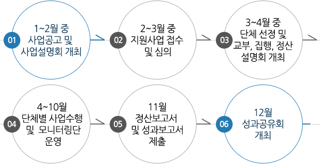 1)1월~2월 중 사업공고 및 사업설명회 개최 →  2)2~3월 중 지원사업 접수 및 심의  →  3)3~4월 중 단체 선정 및 교부,집행, 정산 설명회 개최  → 4)4~10월 단체별 사업수행 및 모니터링단 운영  →  5)11월 정산보고서 및 성과보고서 제출 → 6)12월 성과공유회 개최