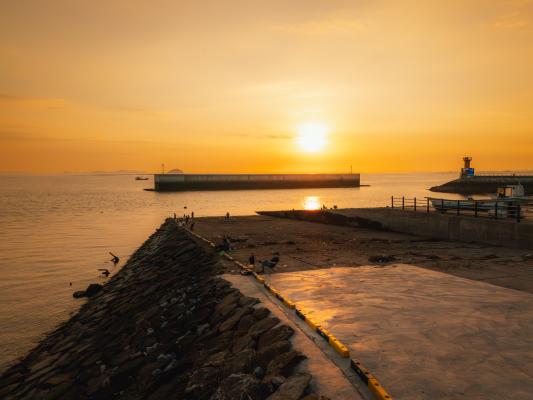 13. 화성시의 노랑