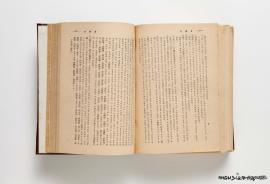삼일운동비사 (三一運動秘史),지정번호: