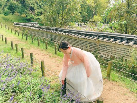 2025 정조효문화제 사진 공모전 장려상(4)_02