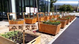 도시농부 공동체 수레텃밭(Community Garden) 운영(~7/13),장소:화성종합경기타운 내 화성시생활문화센터,기간:2019년 3월 16일~2019년 3월 16일