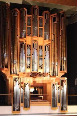 오르가니스트 정