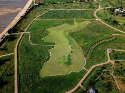 2025 여름 화성 여행 사진 공모전 우수상_화성시의 초록