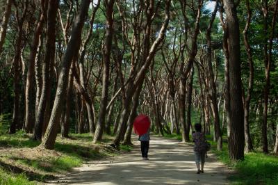 2025 여름 화성 여행 사진 공모전 장려상_함께, 여름