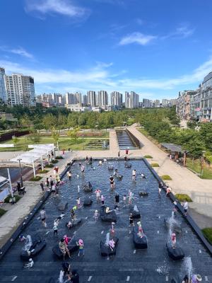 2025 여름 화성 여행 사진 공모전 우수상_화성 폭염 피해(避害)_낮