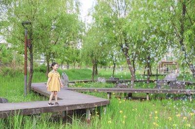 2025 여름 화성 여행 사진 공모전 우수상_아이와 함께하는 화성