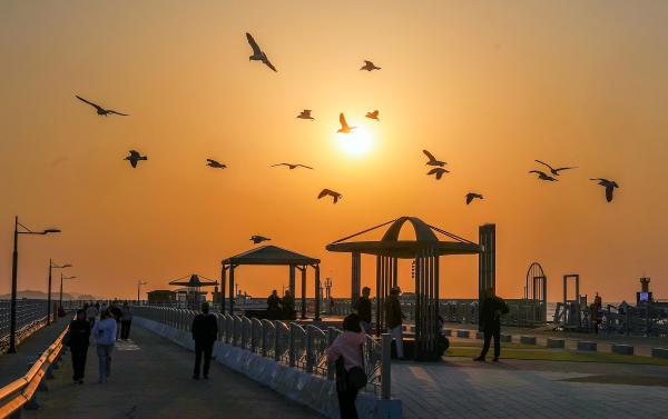 22. 갈매기와 노을